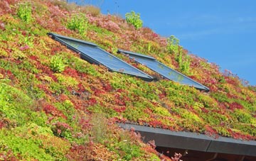 Lanton living roof systems
